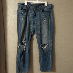 rag & bone Moss Jeans w/ Holes, Boyfriend Style (size 29)